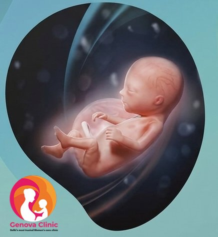 Month 4 pregnancy