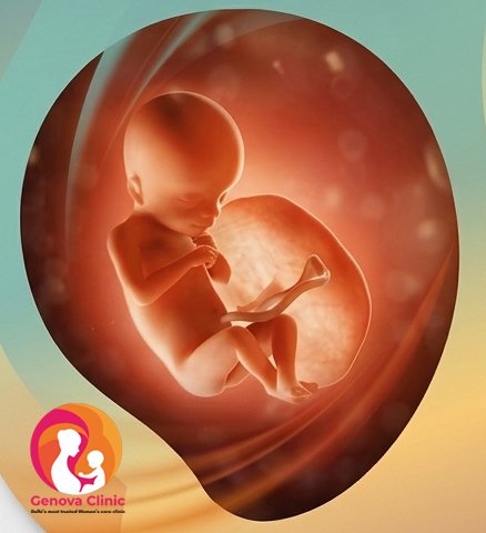 Month 5 pregnancy