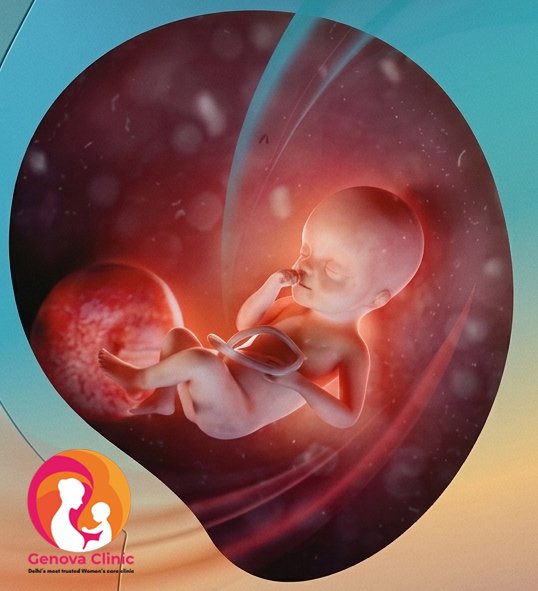 Month 7 pregnancy