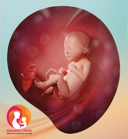 Month 8 pregnancy
