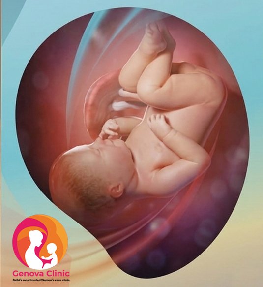 Month 9 pregnancy