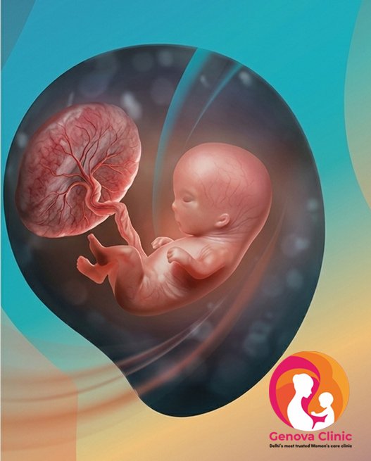 Month 3 pregnancy